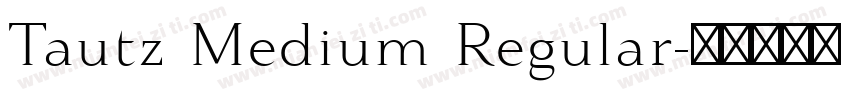 Tautz Medium Regular字体转换